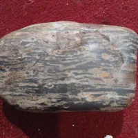 سنگ چشم ببر