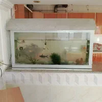 آکواریوم همراه ماهی