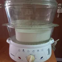 بخار پز
