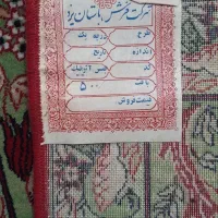 قالی|فرش|شیراز, دشت چنار|دیوار