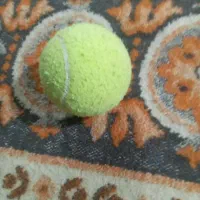 توپ تنیس|ورزشهای توپی|بروجرد, |دیوار