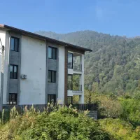 فروش آپارتمان جنگلی سرولات بغل خاورخانم|فروش آپارتمان|چابکسر, |دیوار