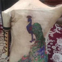 نیازمند پول