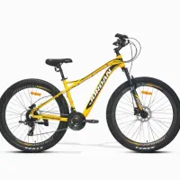 دوچرخه جردن ۲۹