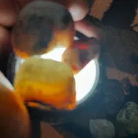 سلام تعدای سنگ زیبا|کلکسیون و سرگرمی|بندر انزلی, پاسداران|دیوار