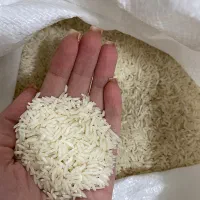 برنج هاشمی