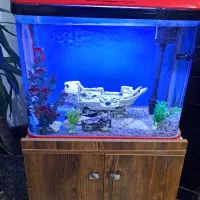 آکواریوم شرکتی با پایه چوبی