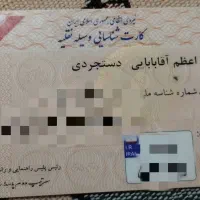 کارت موتور پیدا شده