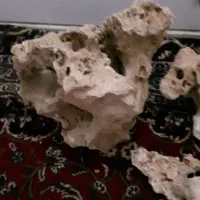 صخره اکواریوم|ماهی|چهاردانگه (تهران), |دیوار