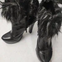 پوتین و کفش مجلسی