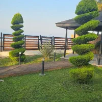 هرس کاج سمپاشی محوطه سازی طراحی|خدمات باغبانی و درختکاری|نوشهر, |دیوار