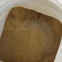 سیست خشک آرتمیا