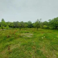 زمین  300 متر درتوبن|فروش زمین و ملک کلنگی|نشتارود, |دیوار