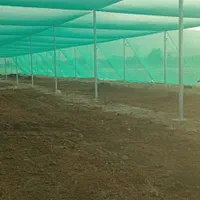 اجرای انواع گلخانه