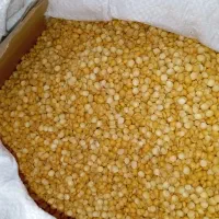 مواد غذای و خشکبار و برنج حبوبات|خوردنی و آشامیدنی|آبیک, |دیوار