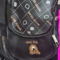 کیف چنبار استفاده شده