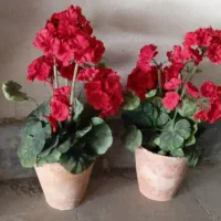 گلدان