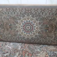 پشتی ۷۰۰ شانه|پشتی|قم, شهر قائم|دیوار