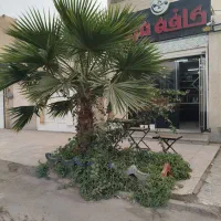 واگزاری-کافه-با-تمامی-وسایل