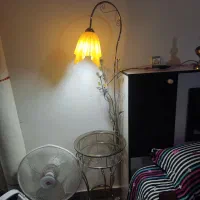 اباژور درحد نو