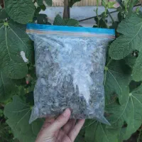فروش چای کوهی امسالی  تازه اعلا