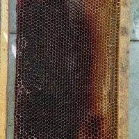 پوکه