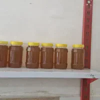 عسل