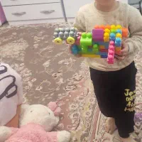 فرش ۱۲ متری ۲۵۰۰ شانه نگین مشهد