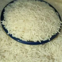 برنج فجر شمال.مستقیم از شالیزار