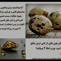 تخم بلدرچین|خوردنی و آشامیدنی|قم, قلعه کامکار|دیوار