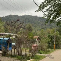 250 متر زمین کوهستانی سند تک برگ 100متر پروانه