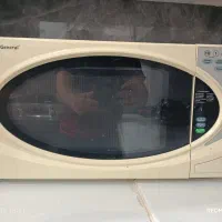 ماکروویو ژاپنی