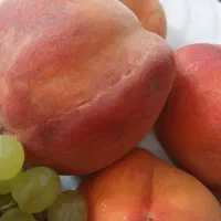 گوجه پشت مهدیه کرهرود