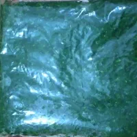 سبزی خورشتی و ماهی|خوردنی و آشامیدنی|بندر امام خمینی, |دیوار