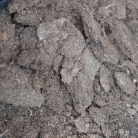 کود مرغی خالص و خاک برگ پوسیده|لوازم جانبی حیوانات|رشت, نخودچر|دیوار