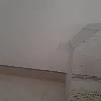 پرنده