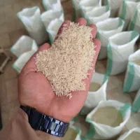 عرضه مستقیم وارسال برنج روستای گیلده آستانه اشرفیه|خوردنی و آشامیدنی|آستانه اشرفیه, |دیوار