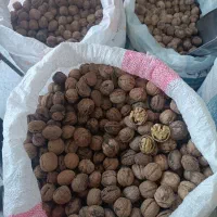 گردو،،|خوردنی و آشامیدنی|مشهد, یوسفیه (شهرک غرب)|دیوار
