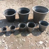 گلدان