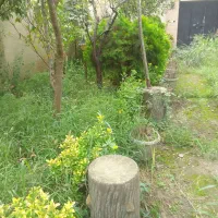 ۲۴۰ متر زمین مسکونی سند دار  شهرک سید احمد خمینی|فروش زمین و ملک کلنگی|رشت, شهرک احمد خمینی|دیوار