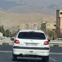 ۲۰۶ اشتثنایی