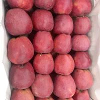 سیب|خوردنی و آشامیدنی|صفائیه, |دیوار