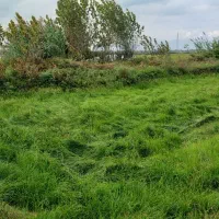 فروش زمین ۱۰۹۴ متری در عینک|فروش زمین و ملک کلنگی|رشت, عینک|دیوار