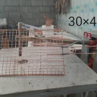 تولیدی توریهای کبابی و ماهی|اجاق گاز و لوازم برقی پختوپز|ایلام, |دیوار