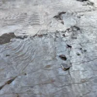 جذب نیروی کار