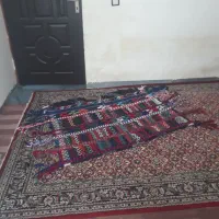 یک عدد جل و کوهان و ورسینه اسب به فروش می رسد|اسب و تجهیزات اسب‌سواری|آبدانان, |دیوار