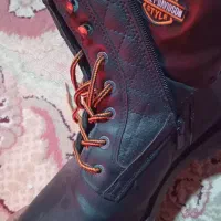 پوتین هالی دیویدسون