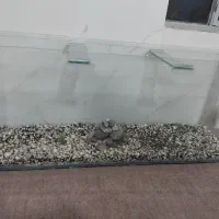 اکواریوم 120سانتی با لوازم وماهی...