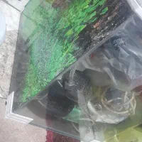 اکواریوم شرکتی