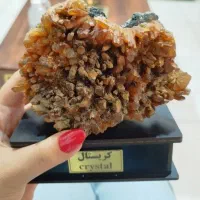 منشی و مدیر فروش خانم